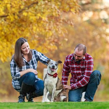 AHOB-Dog-with-couple-2.9.21